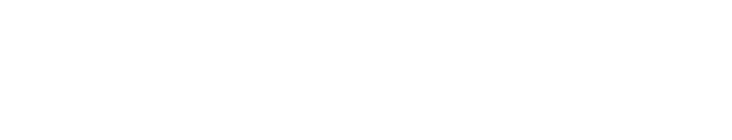 Roni Show